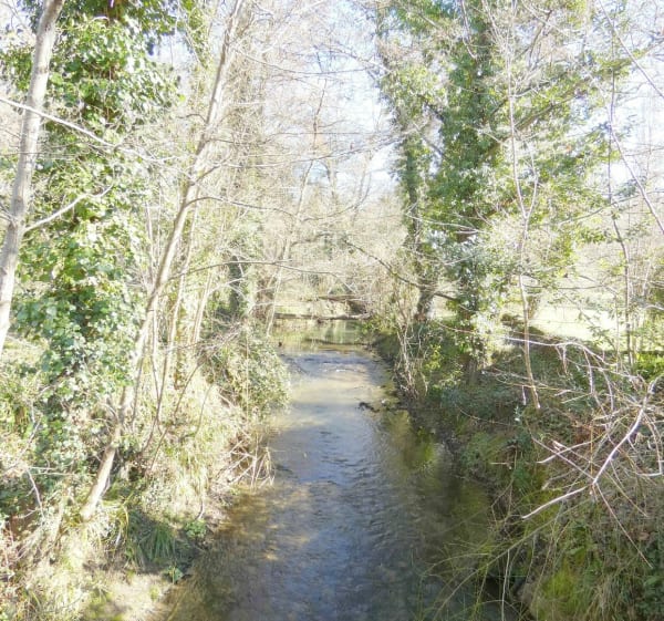 Balade autour de Latresne et Cénac - Cenac - 1