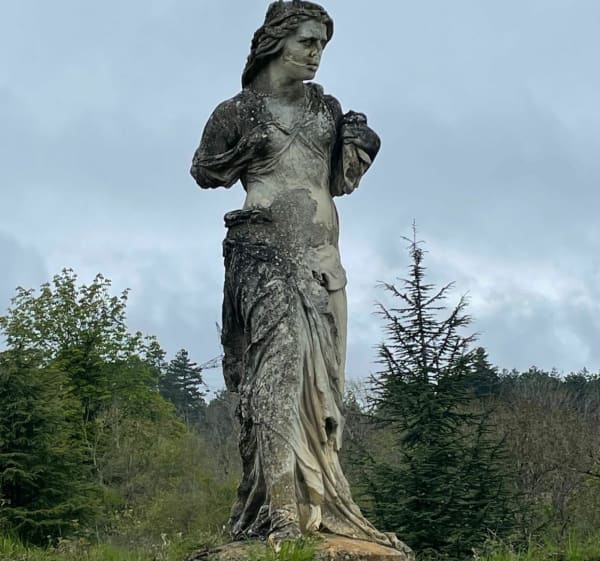 Balade sur les hauteurs de Nuits Saint Georges - Nuits-Saint-Georges - 1