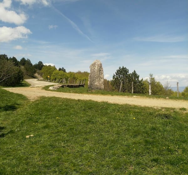Wandelen naar Mont Aigoual - Val-d'Aigoual - 1