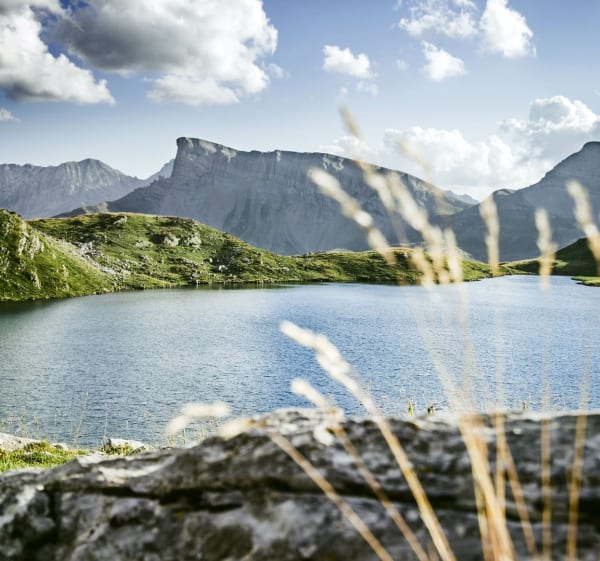 Pyreneeënvlucht naar het Ansabèremeer - Lescun - 1