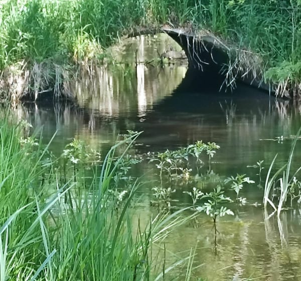 Belle rando le long du ruisseau à Rivarennes - Rivarennes - 1