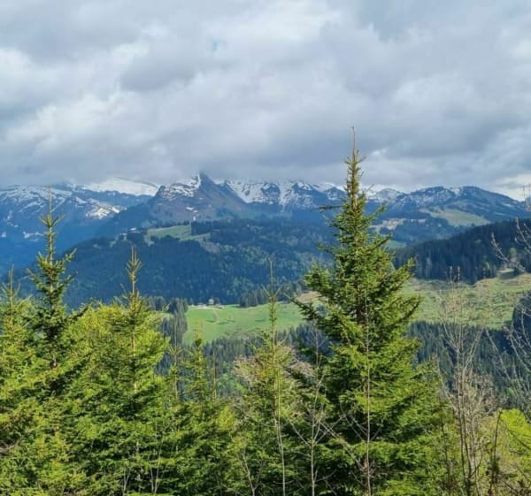Col de Griou - Essert-Romand - 1