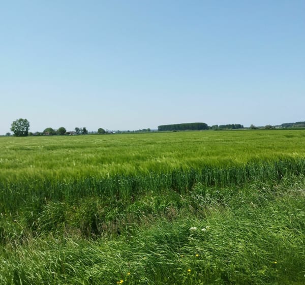 Hazebrouck et ses alentours - Hazebrouck - 1