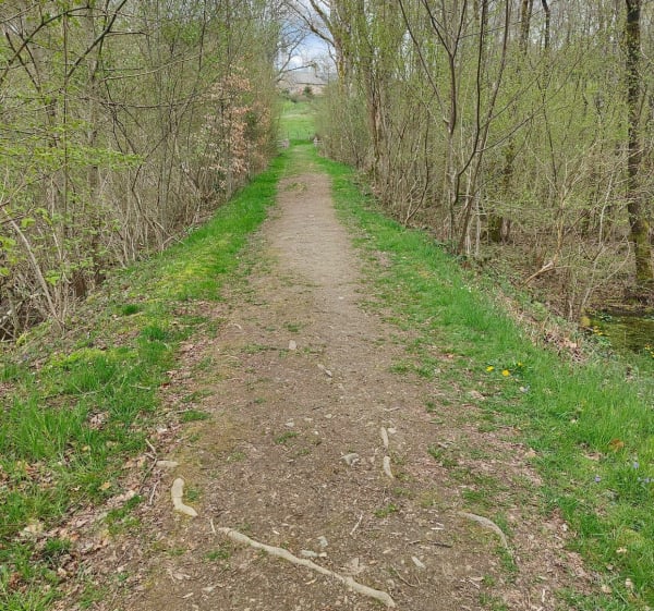 Sources de l'Yonne - Port des Lambert - Chemin des Francillions - Glux-en-Glenne - 1