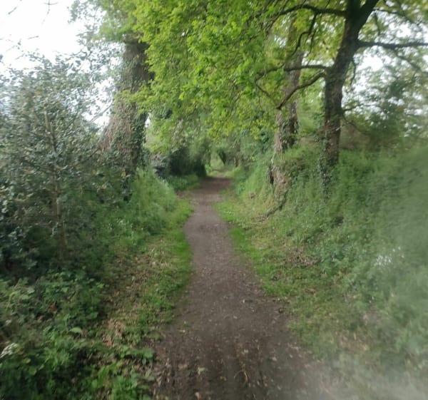 Balade à la découverte de la Voie Verte à Mayenne - Mayenne - 1