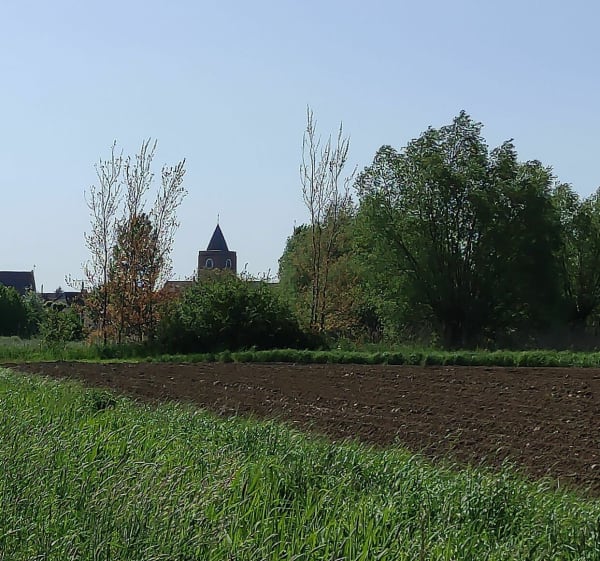 Sentier des trois clochers par Forêt de Nieppe - Saint-Venant - 1