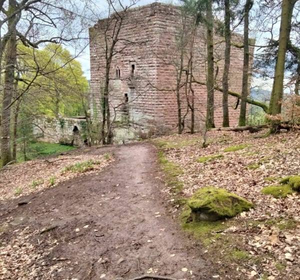 Randonnée sur les collines d'Oberbronn par le Château de Wasenbourg - Oberbronn - 1