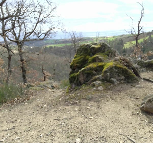 Les gorges de la Daronne depuis Deyras - Saint-Victor - 1