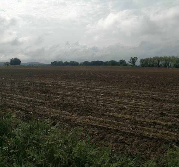 Boucle de Denguin à Labastide-Cézéracq - Denguin - 1