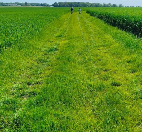 Balade en plaine de Menilles - Ménilles - 1