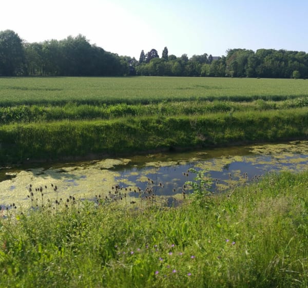 Chemin de halage entre les bac de Sahurs et Val de la Haye - Sahurs - 1