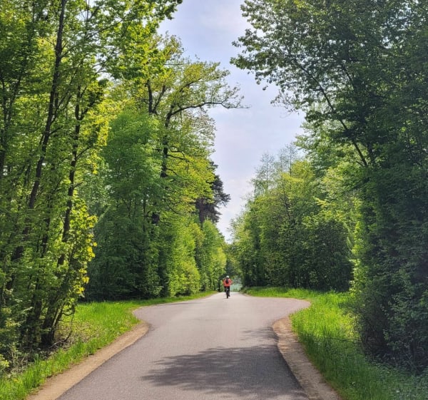 Circuit Sundgau sur voies douces macadamisées (propres...) - Heimersdorf - 1