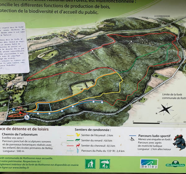 Balade en forêt de Rothonne - Belley - 1