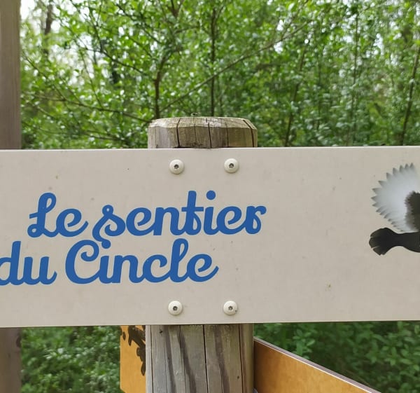 Le chemin de la pomme à l'envers depuis Les Pérouses - Rumilly - 1