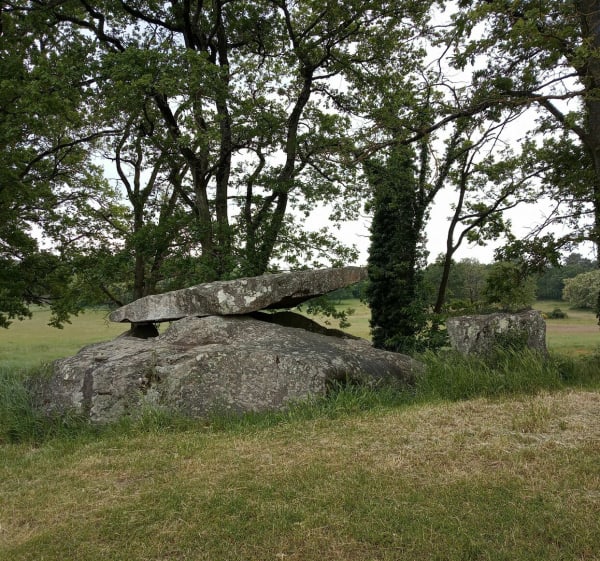Entre Terre & Loire à Saint-Rémy-la-Varenne - Brissac-Loire-Aubance - 1