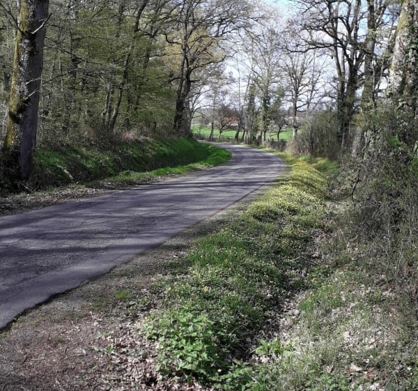 Chemin rural de Tigy par le Bois de Balesme - Tigy - 1