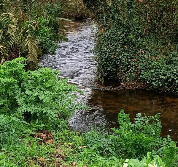Sortie sympa dans la campagne de Milizac - Valérie - 1