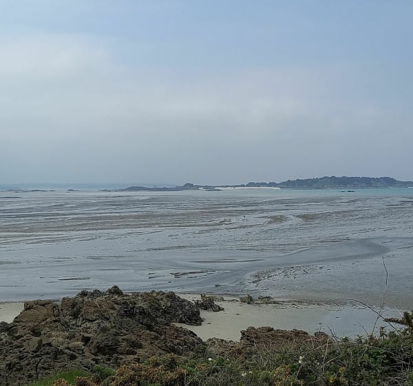Wilde kant van Lancieux vanaf het strand van Saint Sieuc - Lancieux - 1