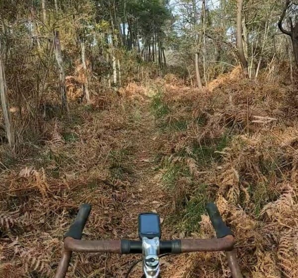 Gravel au départ de Roaillan, entre forêt et vignoble - Roaillan - 1