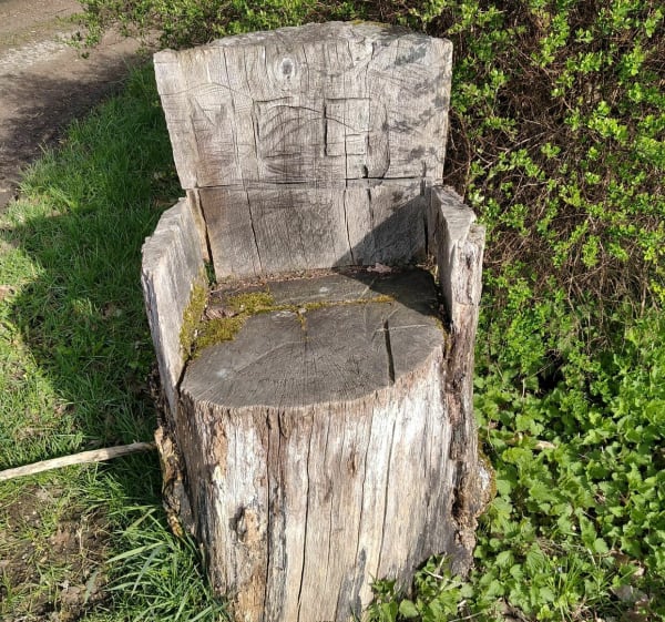 Marche autour de Bretagne et Etangs des Baraques - Mapie70 - 1