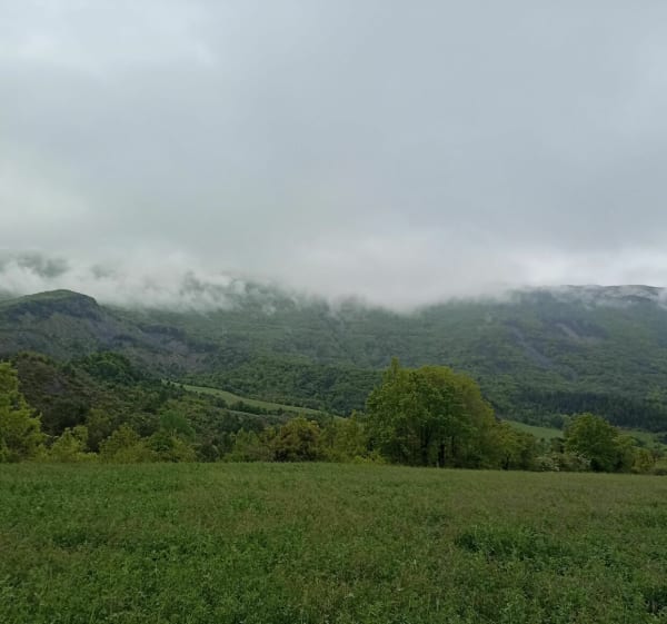 De Savournon au col de Faye en aller-retour - Savournon - 1