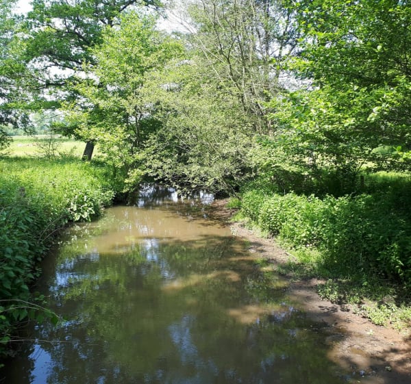 Sentier de Meilhac - Meilhac - 1