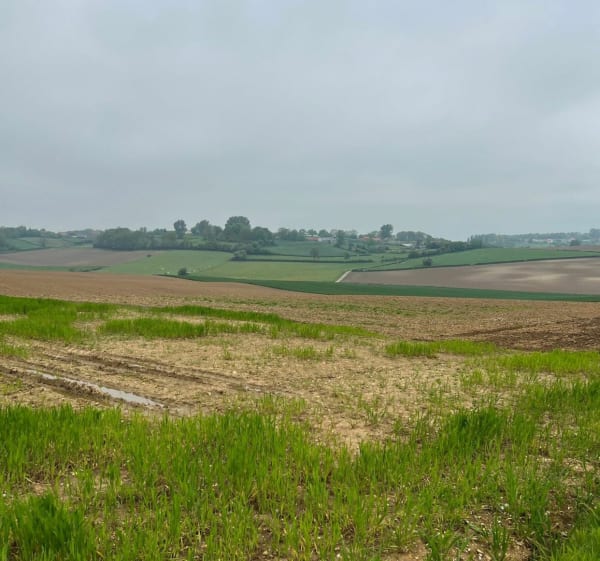 Balade autour de Delettes par Mont de Dohem - Delettes - 1