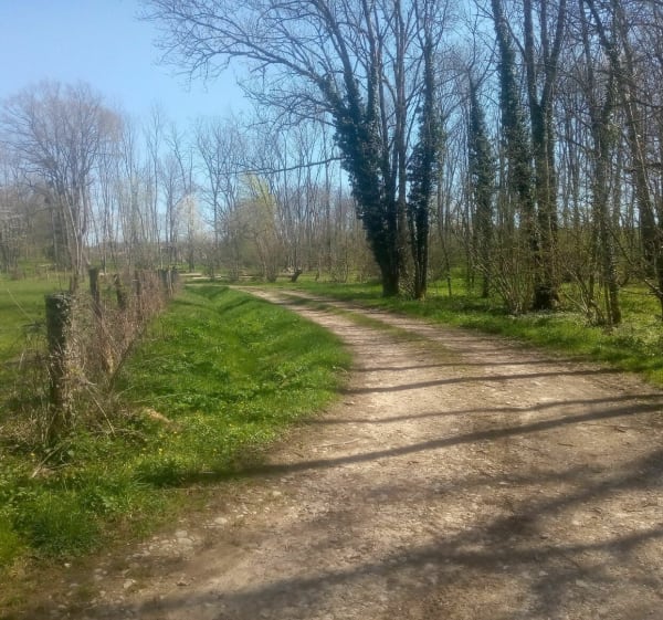 Arlay, Ruffey s/Seille en longeant la Seille - Arlay - 1