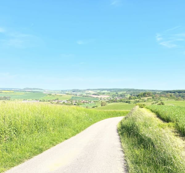 Balade sur La Valleroyse - Valleroy-aux-Saules - 1