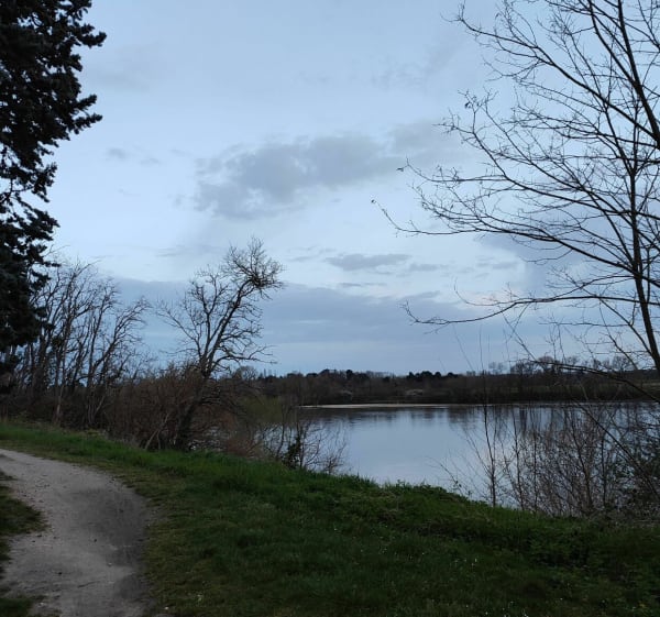Bord de Loire et forêt ! - Saint-Denis-de-l'Hôtel - 1