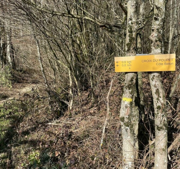 Balade au Mont Poupet - Saint-Thiébaud - 1