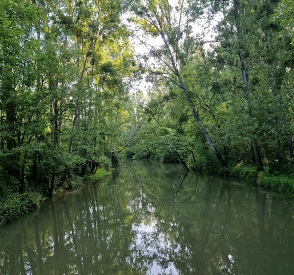 Balade entre le Fouzon et le Cher - Seigy - 1
