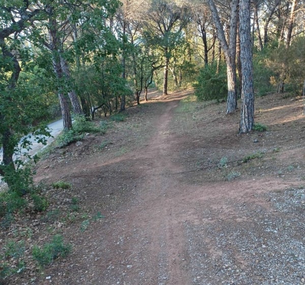 A deux pas de Fréjus, la Montée de la Pierre du Coucou à VTT - Puget-sur-Argens - 1
