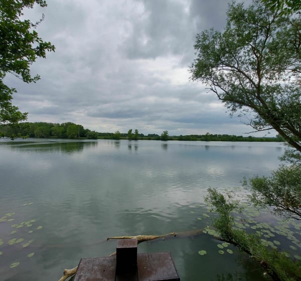 Balade sympa à Epervans le long de la Saône et de la Darse - Épervans - 1
