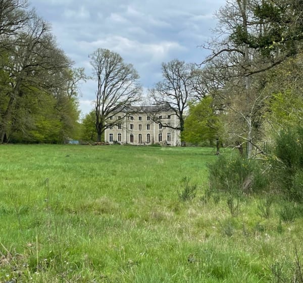 Veilleins bois et étangs, très jolie balade en Sologne - Veilleins - 1