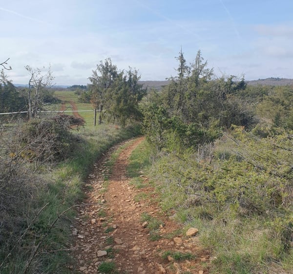 Un dimanche sur le Causse du Comtal - Montrozier - 1