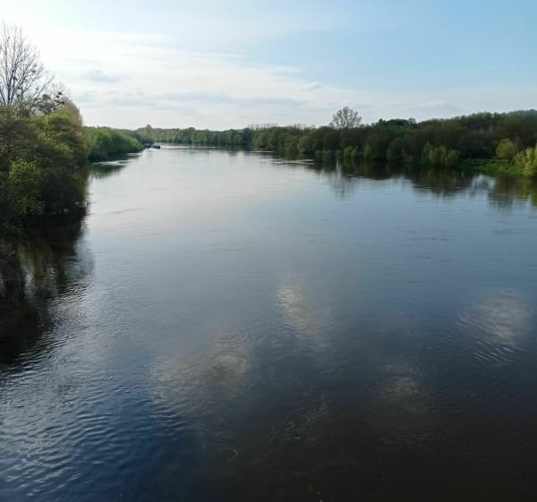 Retour de chez Archambault - Chinon - 1