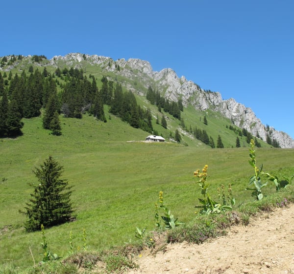 Randonnée des deux monts : Mont Ouzon et Sur Gémet - Le Biot - 1
