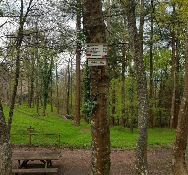 Dambach-la-ville / Bernstein / Rochers des celtes / Dieffenthal - Dambach-la-ville - 1