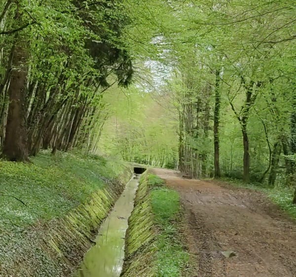 Wandel rond Meroux bij de Bêtes Noires - Meroux-Moval - 1