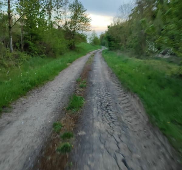 Entre petits chemins et bitume à Bussy Saint Georges, vous préférez quoi ? - Gouvernes - 1