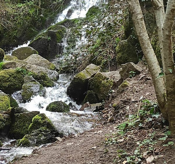 Cascades de la vallée de Sans Souci - Châtel-Guyon - 1