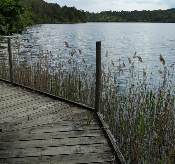 Prachtige wandeling rond het meer van Arjuzanx - Morcenx-la-Nouvelle - 1