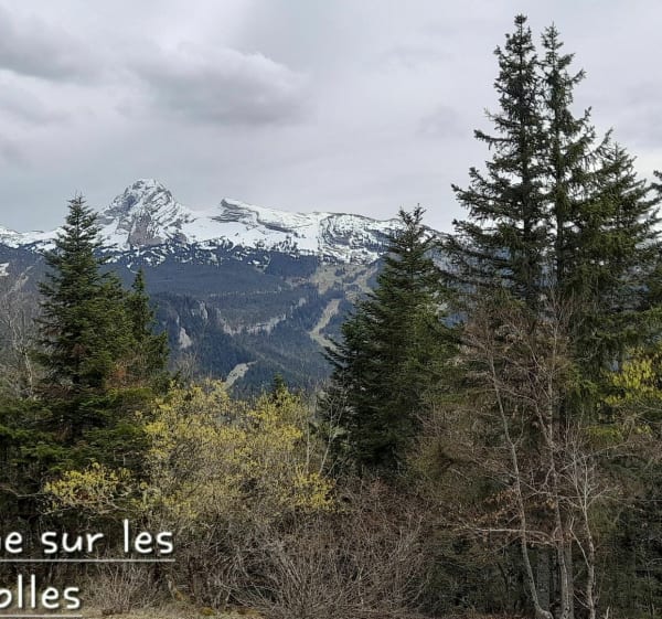 Circuit de la Loubière - Corrençon-en-Vercors - 1