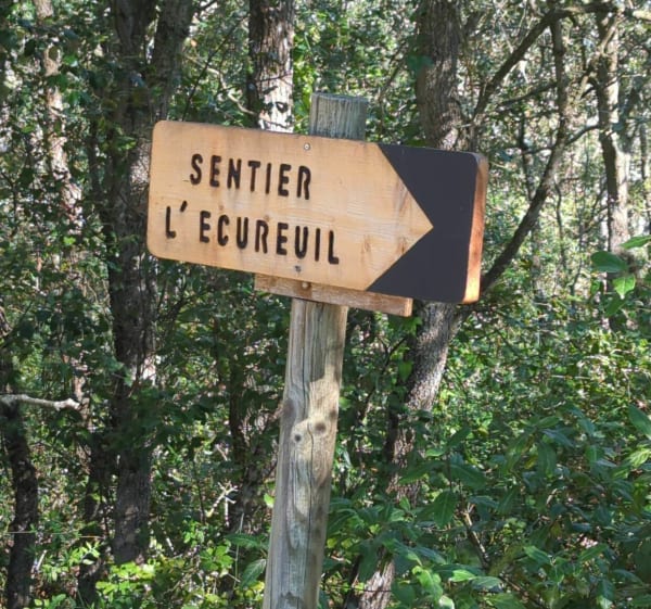 Sentiers de l'écureuil à Rouffiac-d'Aude - Rouffiac-d'Aude - 1