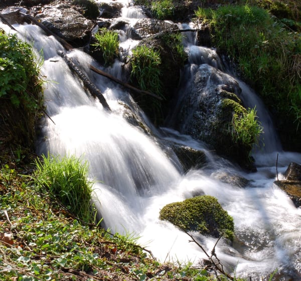 Du lac des Settons au Saut de Gouloux - Montsauche-les-Settons - 1