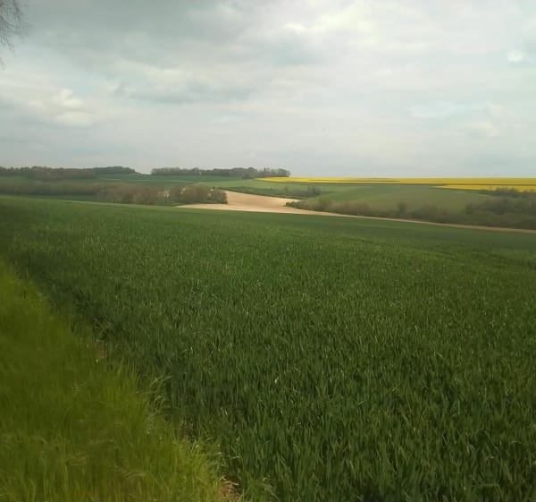 Autour de Saint-Aubin par Bois Plisson - Saint-Aubin-sous-Erquery - 1