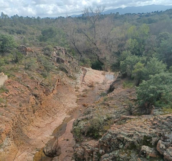 Belle Balade sur chemins à Puget-sur-Argens côté Roquebrune - Puget-sur-Argens - 1