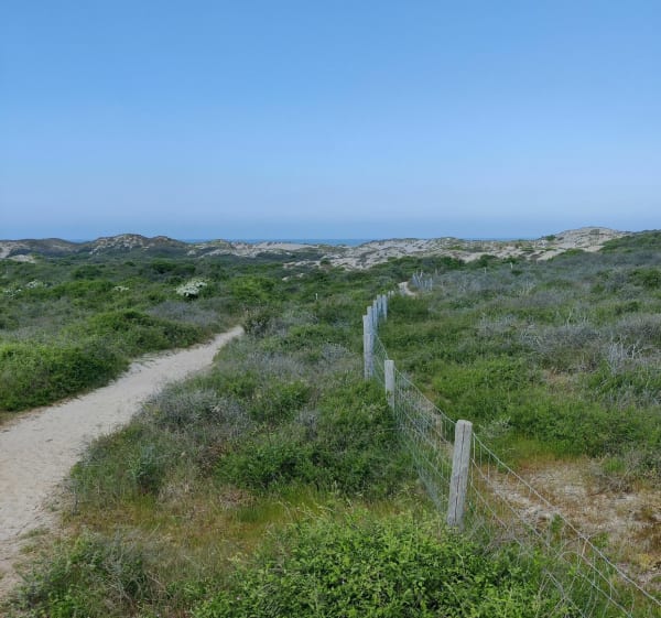Circuit des Fauvettes Dunes de Merlimont - Merlimont - 1