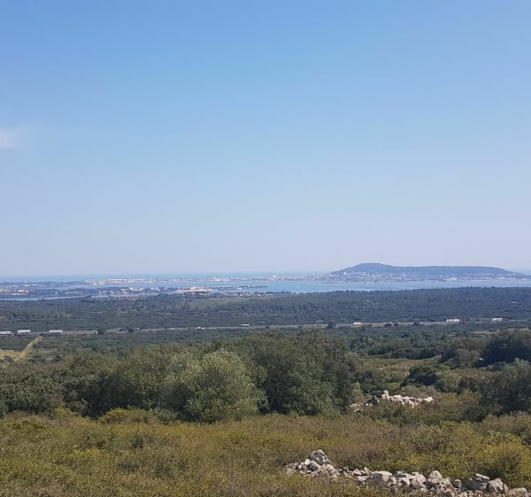 Boucle dans les collines entre Loupian et Bouzigues à VTT - Mèze - 1